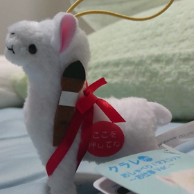 株主優待(クラレ)の画像