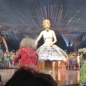 アレグリアの画像