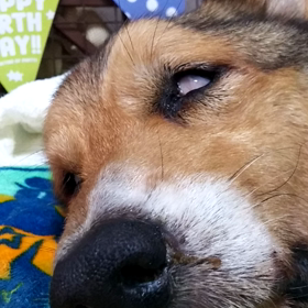 反省と懺悔との画像