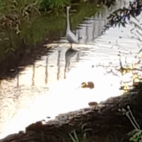 小学生に優しい言葉をもらいました。の画像