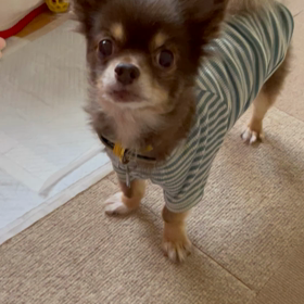 ☆絶好調☆の画像