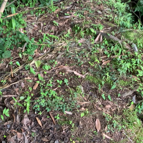 YouTubeの入口の画像