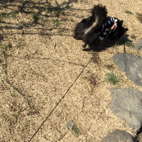 ぷりっぷりっ ぷりん♡の画像