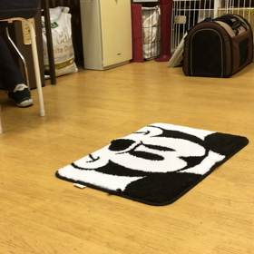 吠えずに頑張りました。の画像