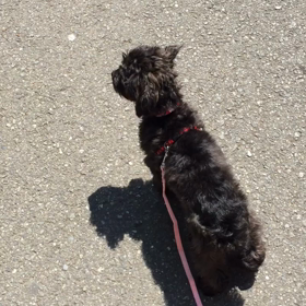 お散歩♪の画像