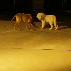 気付いありがとうの画像