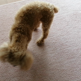 幸せが戻ってきたの画像