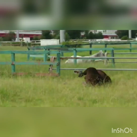 開催が終わって…の画像