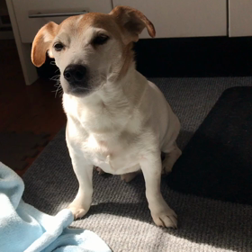 ウ●コ拾えの画像