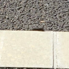 バス停にての画像