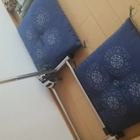 夏バテ中の画像