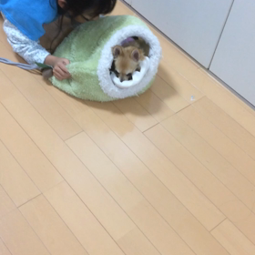 長女の誕生日に神対応の友達の画像