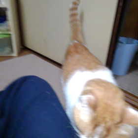 このスリスリがたまらないの画像