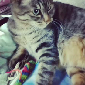 久しぶりにの画像