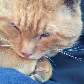 今年最後のの画像