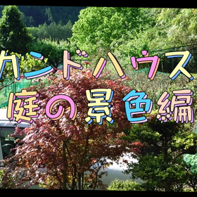 動画編集チャレンジの画像