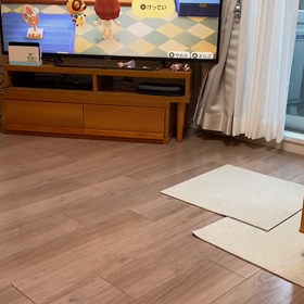 あつまれどうぶつの森の画像