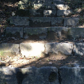 7. 森に行くの画像