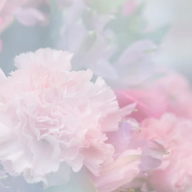 ～素敵な１日を～の画像