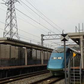 とれいゆつばさの画像