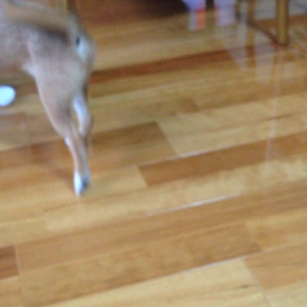 2015年6月8日の画像