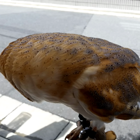 チェケラ。いぇ～いの画像