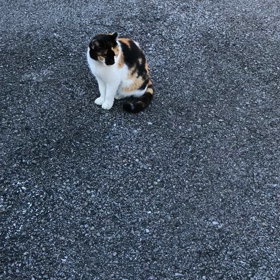 いじちゃんの画像