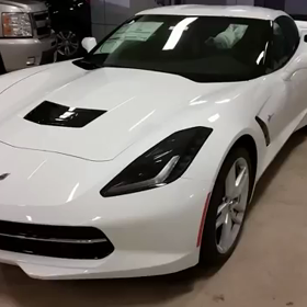 ステングレイの画像