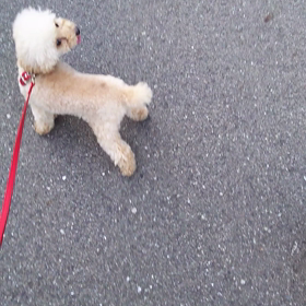 ラィラィの背中に・・・？の画像