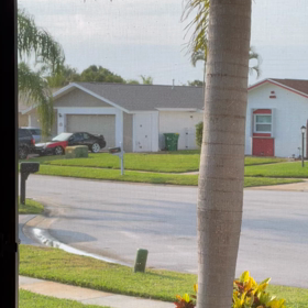雨の後の朝の画像