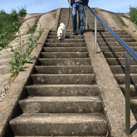 降りれるようになったねの画像