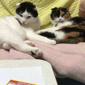 好きな皺の画像