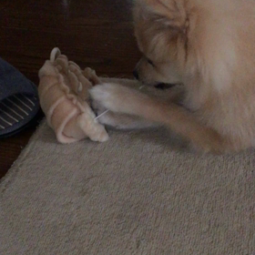 やんちゃっぷりの画像