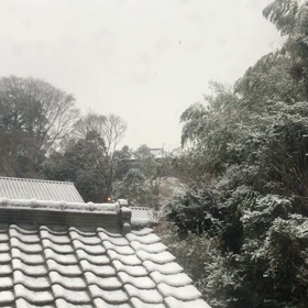 雪の画  像