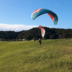 今日のトレーニングの画像