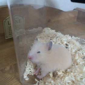 たまアリ　＆　もあ１才の画像