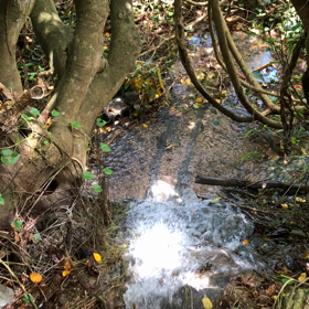 垣花樋川より〜浄化のエネルギーをお届けしますの画像