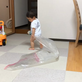 毎日いろいろ*の画像