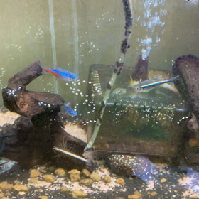 絶好の釣り日和の画像