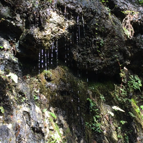 ~ 名古屋 動画集 ~の画像