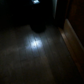 思い切って‼️の画像