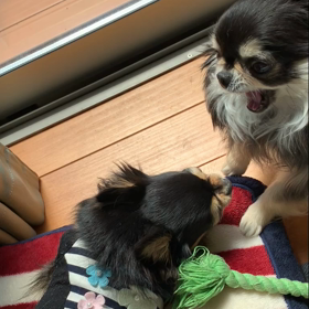 ママいい？の画像