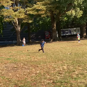 ジャベリック①の画像