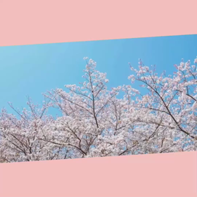 ただいま製作中の画像