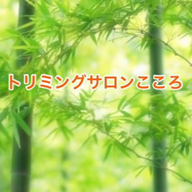 スライドショーの画像