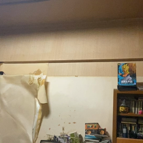 本当じゃねー？本当？マジ？本気上等、まじか？それか。の画像