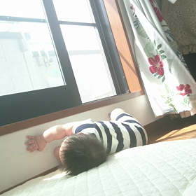 新しい遊びの画像