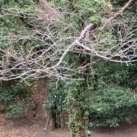 頑張った　その2の画像