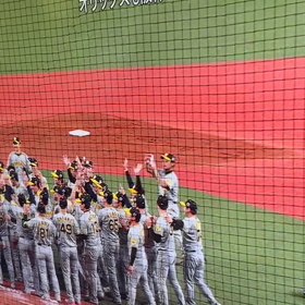 日本一タイガース優勝㊗️おめでとうの画像