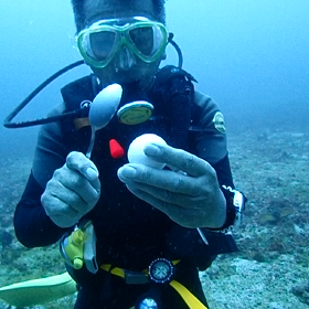 アドバンスコース開催中の画像